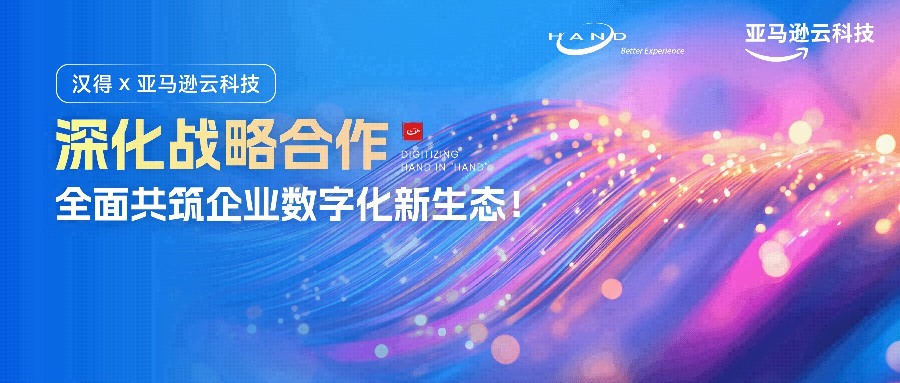 汉得作为 SAP 金牌合作伙伴应邀出